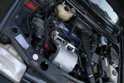 IMG_0477.JPG (370.69 KiB) Przejrzano 7354 razy Nowe serce