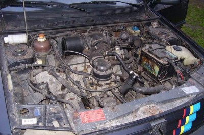 Resize of 103_6222.JPG