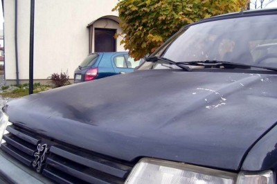 Resize of 103_6967.JPG