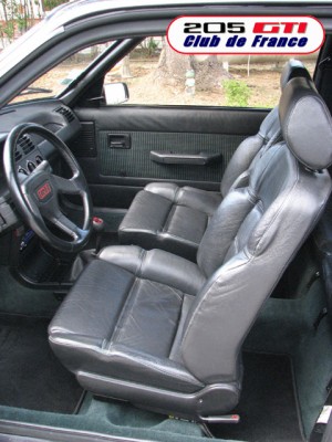 !cuir noir.jpg (136.45 KiB) Przejrzano 28649 razy Cuir Noir (dostępne jako opcja, a także jako wyposażenie podstawowe w Griffe i Gentry)