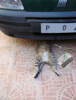 24.jpg (56.19 KiB) Przejrzano 7492 razy 24.jpg