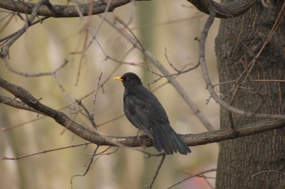 DSC00746.JPG (225.53 KiB) Przejrzano 7332 razy DSC00746.JPG