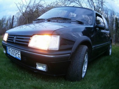 Resize of P4230062.JPG