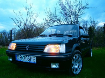 Resize of P4230047.JPG