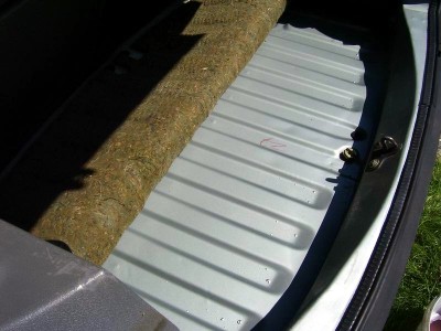 Resize of 101_0043.JPG