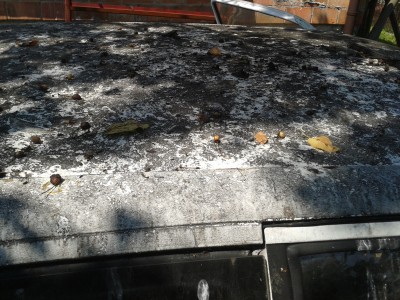 2012-07-06 11.21.07.jpg