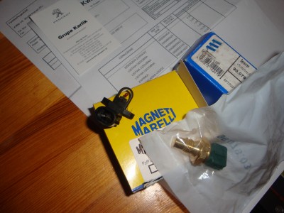 Czujnik temp. pow. dolot. i czujnik temp. na ECU. PO 20latach trzeba je wymienić, nowy silnik to i nowe czujniki :)