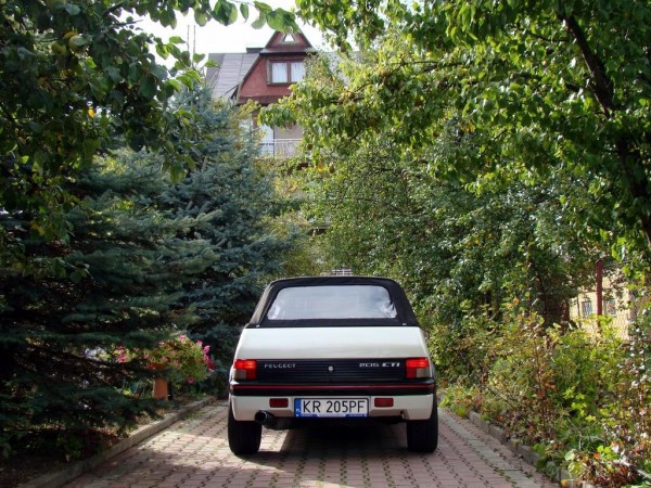 Resize of DSC05520.JPG