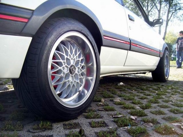 205 gutmann polerka2.jpg