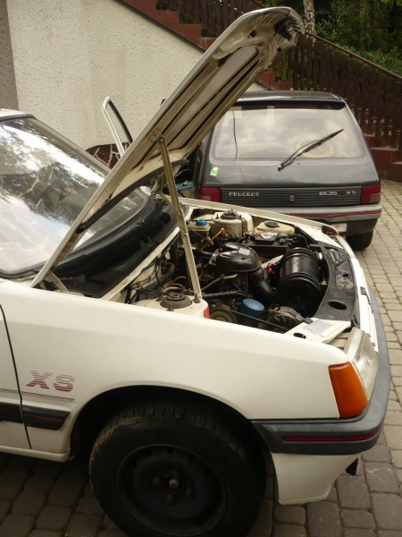 2 razy XS - Genialny Żółw i Pomurnik.