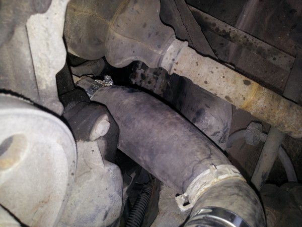 20130715_093831.jpg (2.53 MiB) Przejrzano 7063 razy tak węże puchły