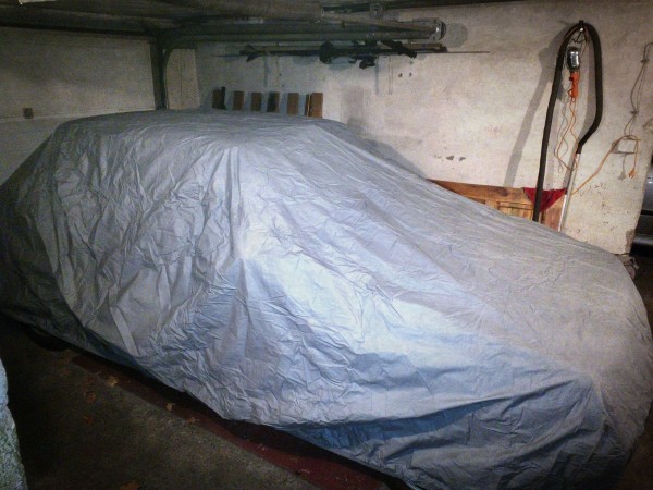 Niektóre Lwy też zapadają w sen zimowy :)