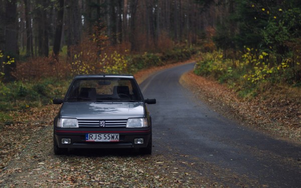 205 GTI Gris Magnum 1992_2.jpeg