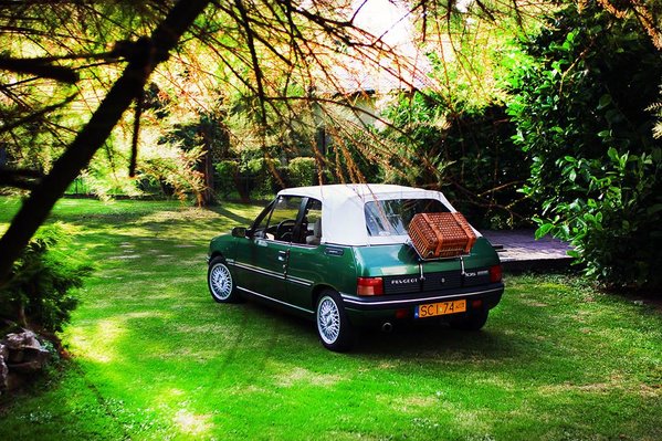 35053896_1576275672483516_6240285897074409472_n.jpg (185.36 KiB) Przejrzano 2216 razy 35053896_1576275672483516_6240285897074409472_n.jpg