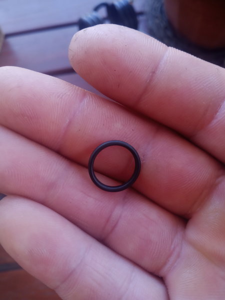 Oring.jpg (3.08 MiB) Przejrzano 9890 razy w mordę kopany