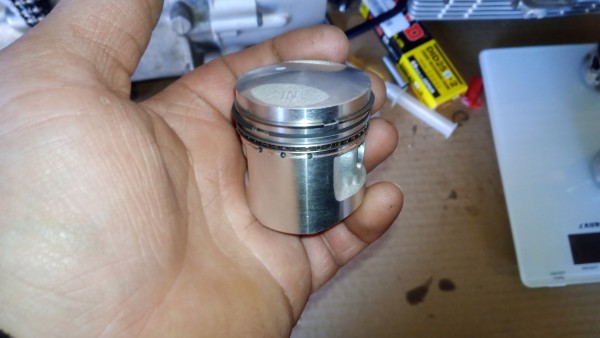 IMG_20210227_134603.jpg (1.33 MiB) Przejrzano 11818 razy Maleństwa